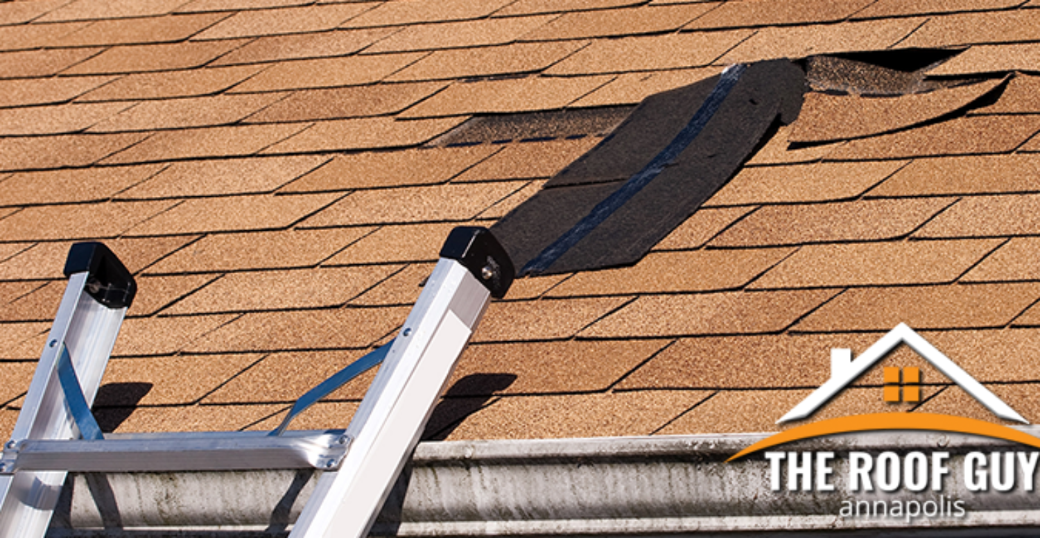 Perform a Self Inspection of Your Roof