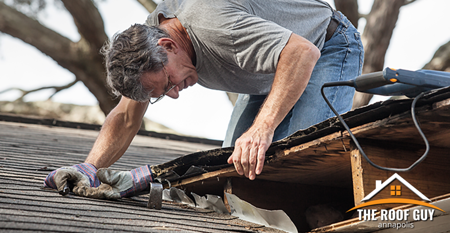 Should You Repair or Replace Your Roof?