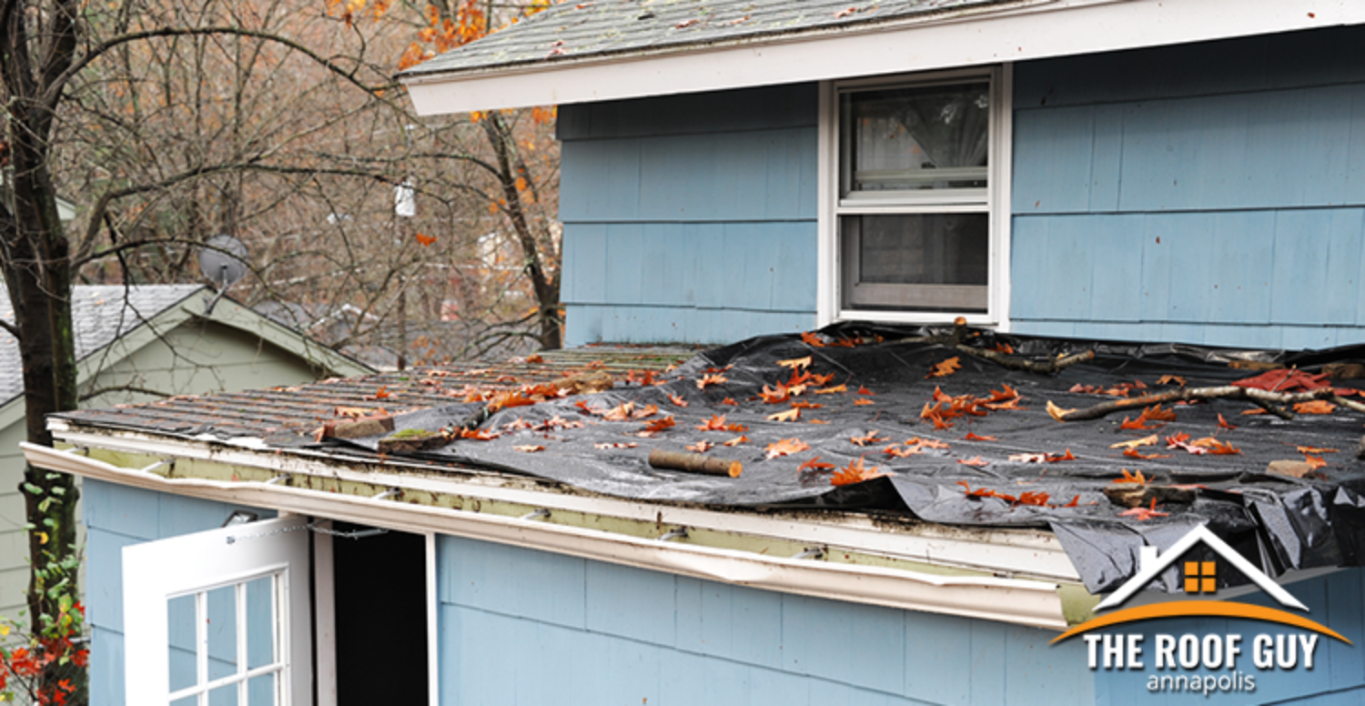 Rainy Season Roof Maintenance Tips