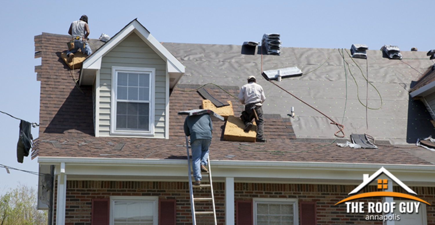 Roof Replacement 101: Everything You Need to Know