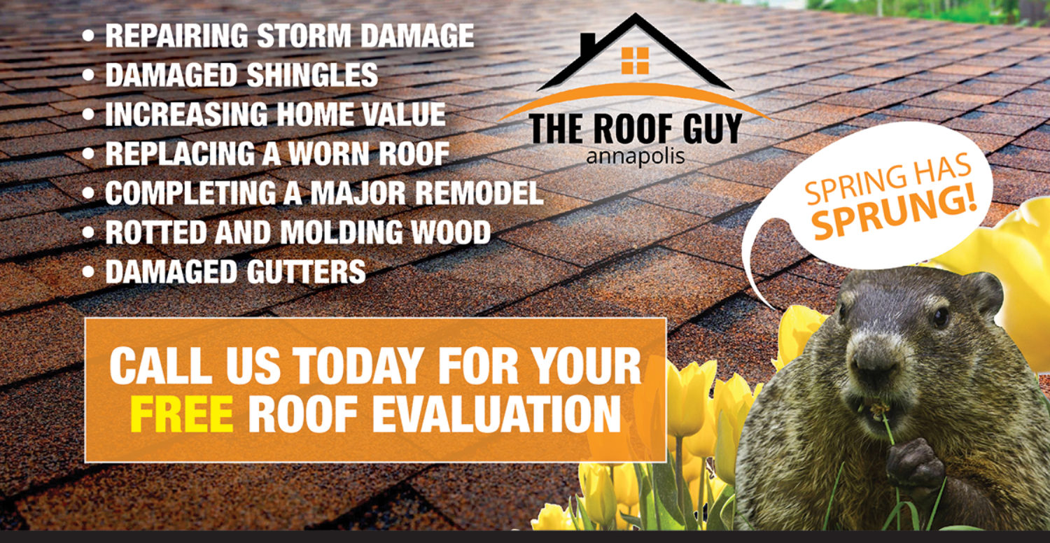 What You Need to Know about Spring Roof Maintenance
